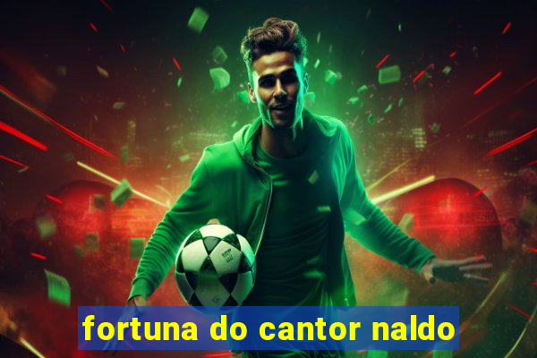 fortuna do cantor naldo